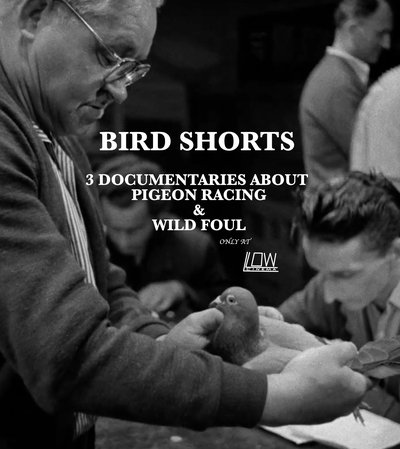 Bird Shorts